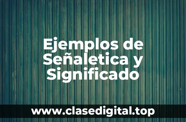 Ejemplos de Señaletica y Significado