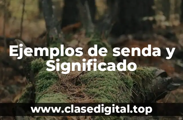 Ejemplos de senda y Significado