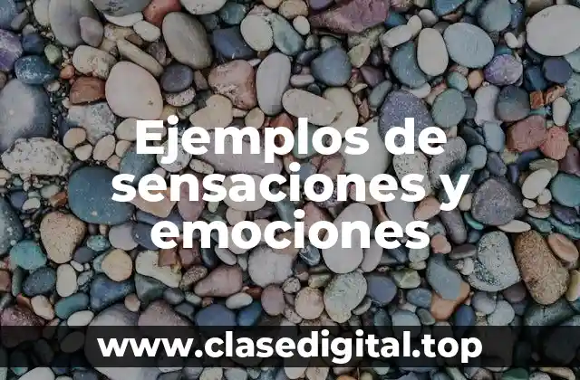 Ejemplos de sensaciones y emociones