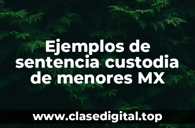 Ejemplos de sentencia custodia de menores MX