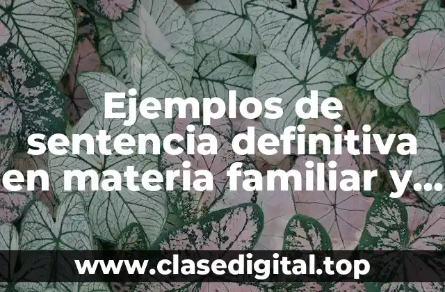 Ejemplos de sentencia definitiva en materia familiar
