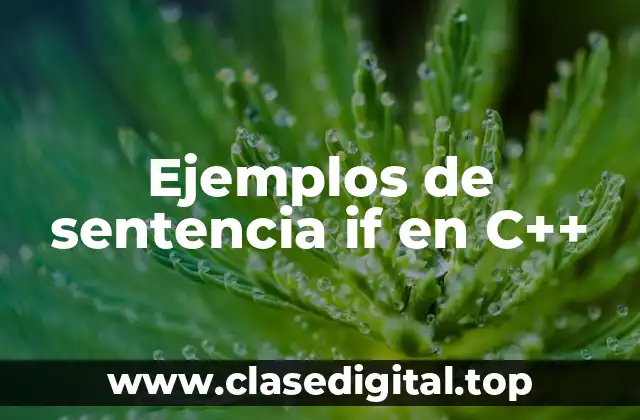 Ejemplos de sentencia if en C++