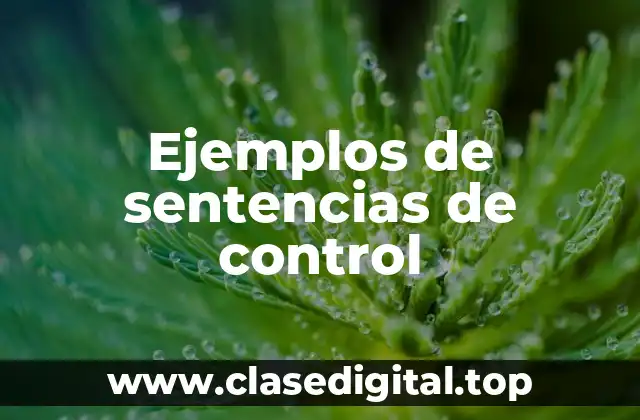 Ejemplos de sentencias de control