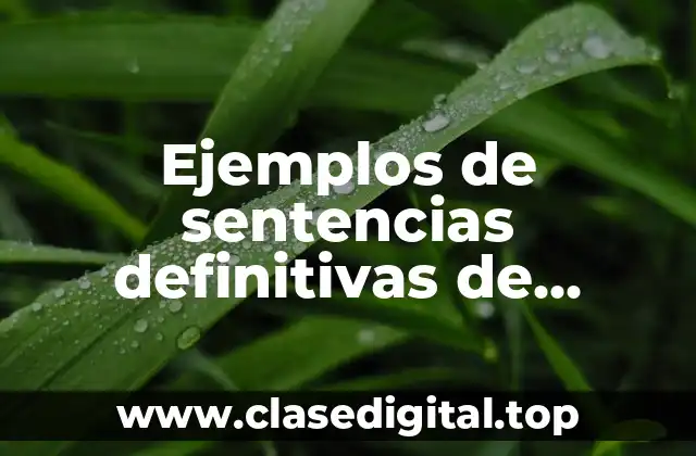 Ejemplos de sentencias definitivas de divorcio incausado en la CDMX