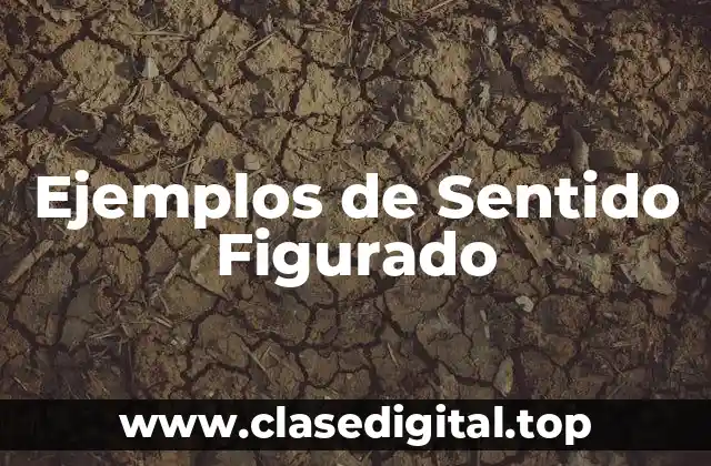 Ejemplos de Sentido Figurado