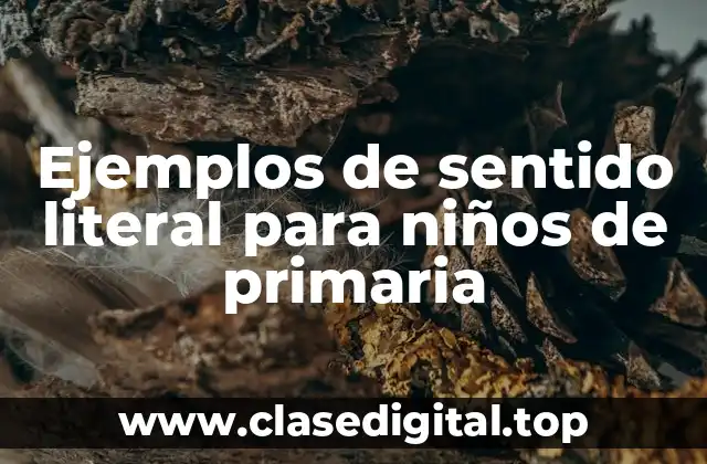 Ejemplos de sentido literal para niños de primaria