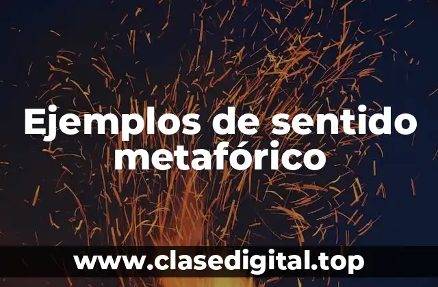 Ejemplos de sentido metafórico