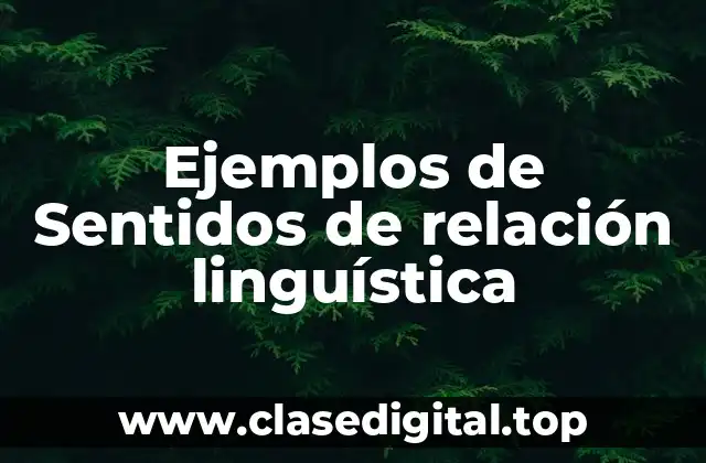 Ejemplos de Sentidos de relación linguística