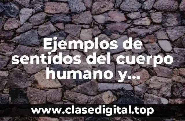 Ejemplos de sentidos del cuerpo humano y Significado