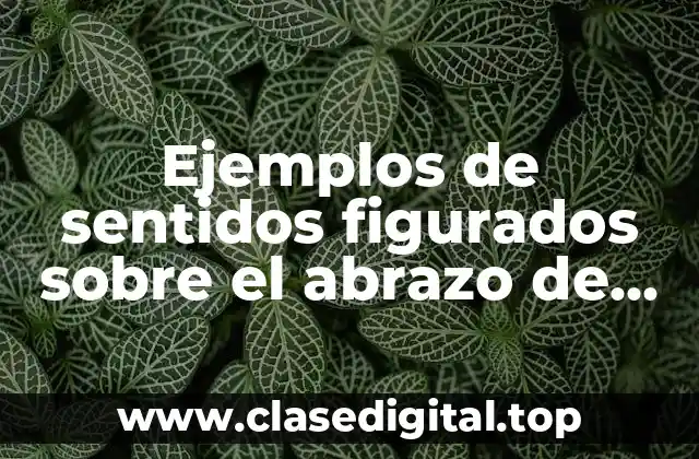 Ejemplos de sentidos figurados sobre el abrazo de una madre