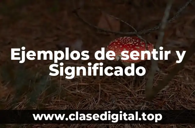 Ejemplos de sentir y Significado