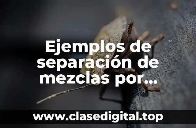Ejemplos de separación de mezclas por imantación