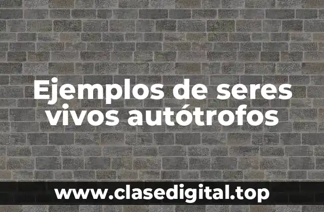 Ejemplos de seres vivos autótrofos