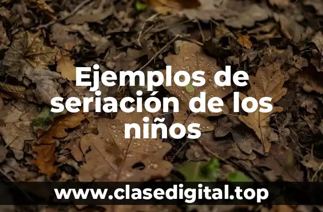 Ejemplos de seriación de los niños