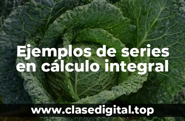 Ejemplos de series en cálculo integral