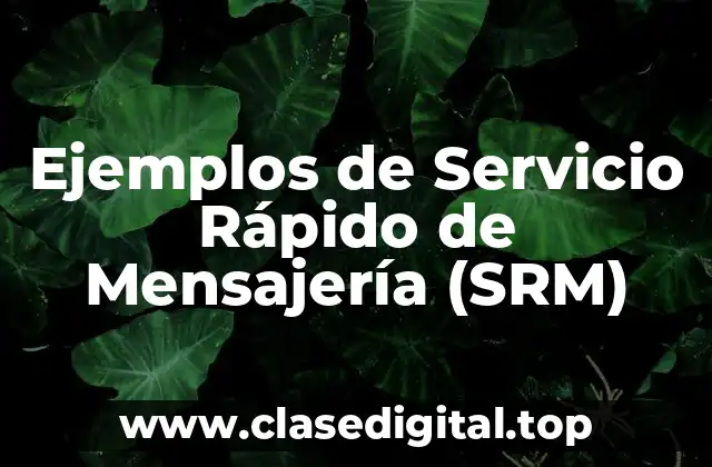 Ejemplos de Servicio Rápido de Mensajería (SRM)