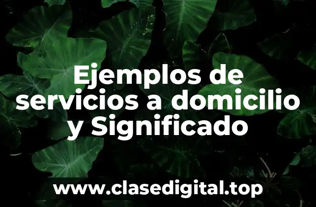 Ejemplos de servicios a domicilio y Significado