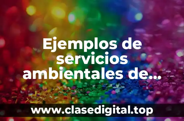 Ejemplos de servicios ambientales de apoyo