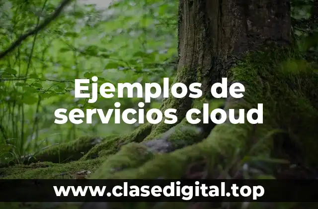 Ejemplos de servicios cloud