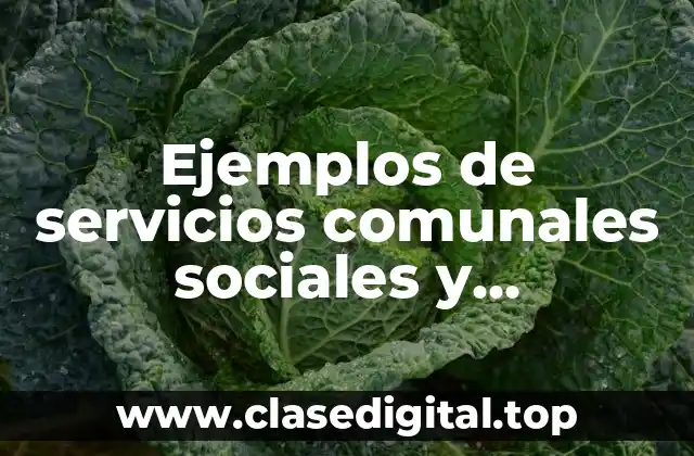 Ejemplos de servicios comunales sociales y personales
