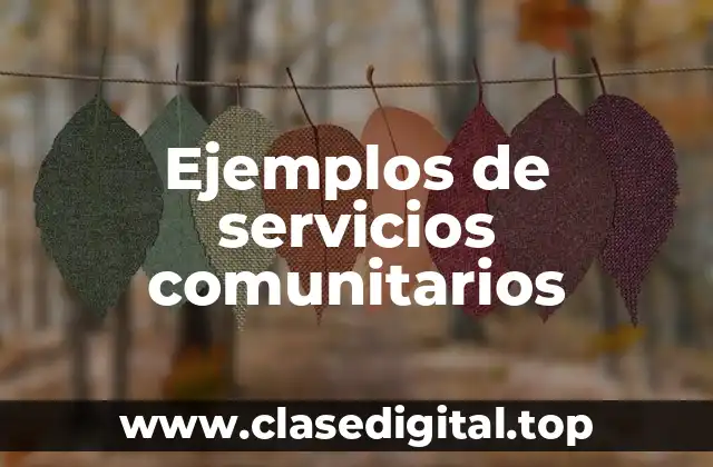 Ejemplos de servicios comunitarios