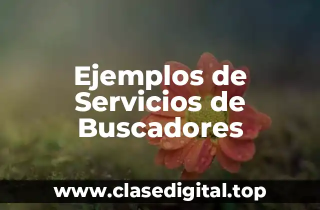 Ejemplos de Servicios de Buscadores