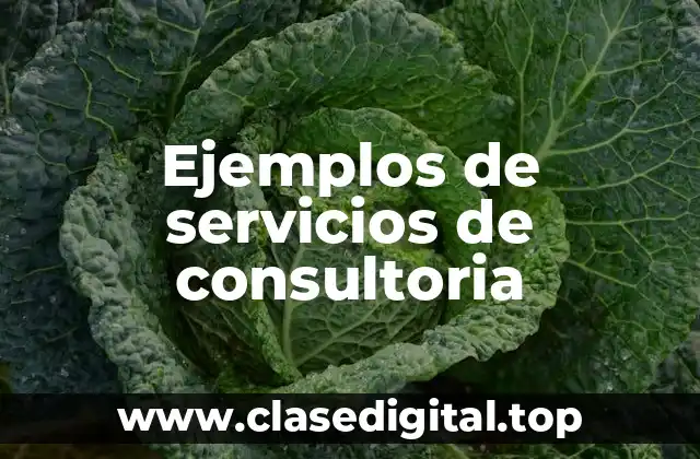Ejemplos de servicios de consultoria
