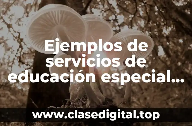 Ejemplos de servicios de educación especial en México