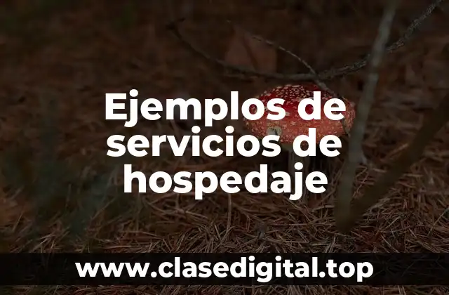 Ejemplos de servicios de hospedaje