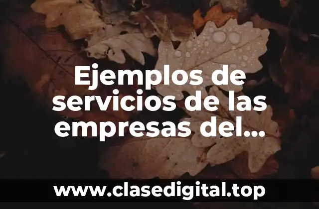 Ejemplos de servicios de las empresas del autotransporte de pasajeros