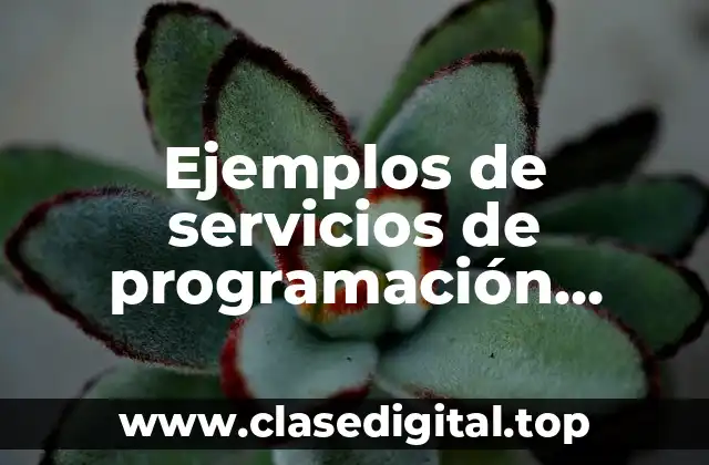 Ejemplos de servicios de programación software