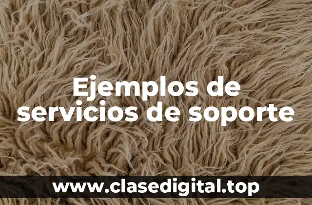 Ejemplos de servicios de soporte