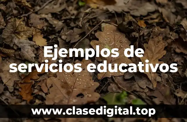 Ejemplos de servicios educativos