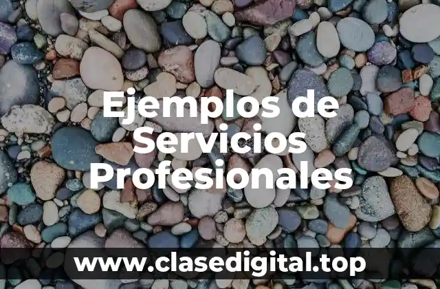 Ejemplos de Servicios Profesionales