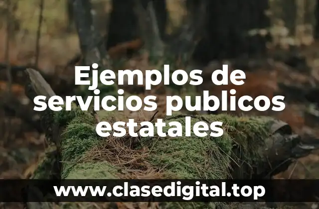 Ejemplos de servicios públicos estatales