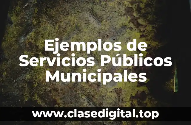 Ejemplos de Servicios Públicos Municipales
