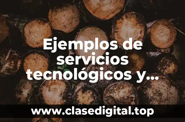 Ejemplos de servicios tecnológicos y Significado