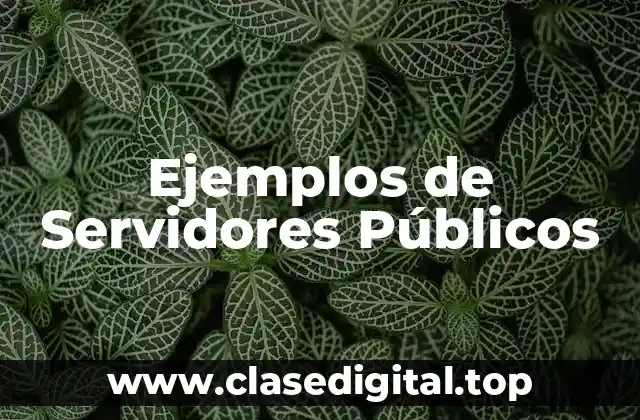 Ejemplos de Servidores Públicos