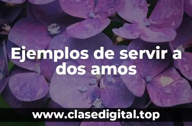 Ejemplos de servir a dos amos