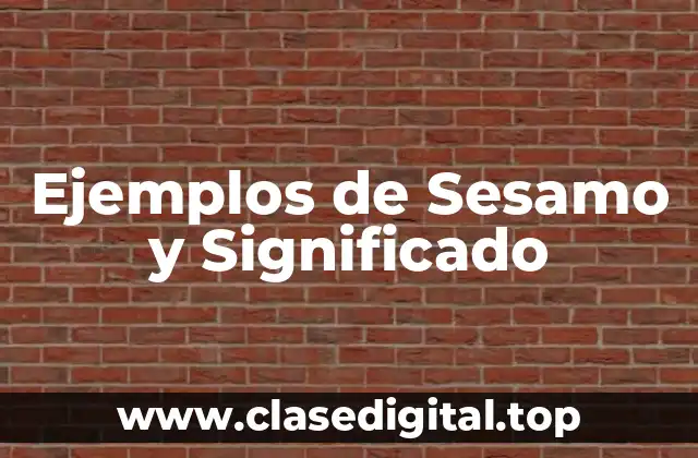 Ejemplos de Sesamo y Significado