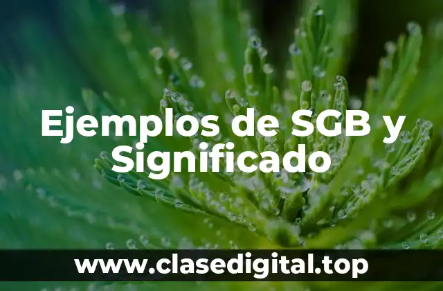 Ejemplos de SGB y Significado
