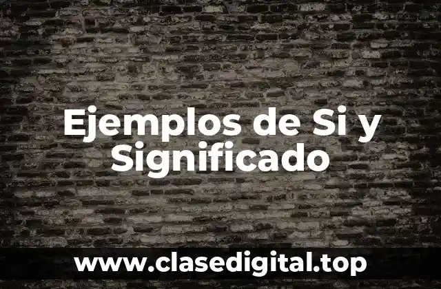 Ejemplos de Si