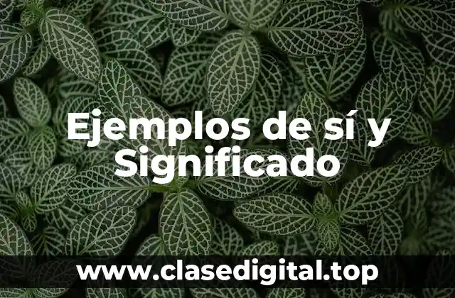 Ejemplos de sí y Significado