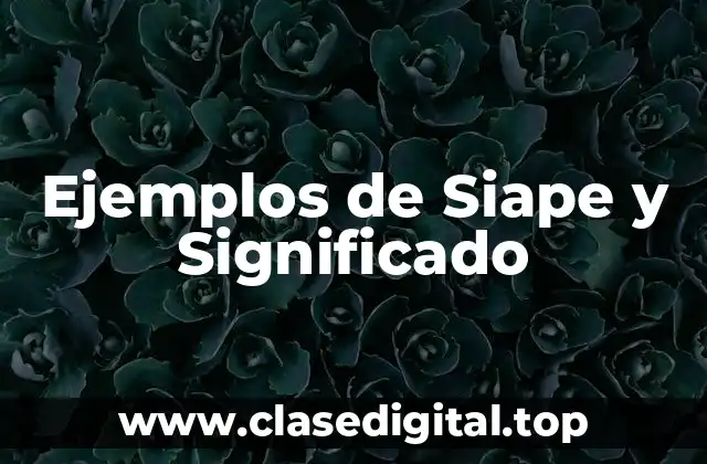 Ejemplos de Siape y Significado
