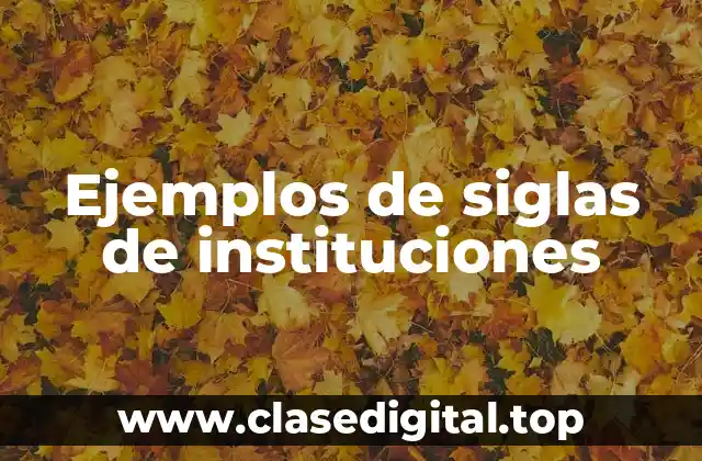 Ejemplos de siglas de instituciones