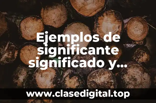 Ejemplos de significante significado y referente y Significado