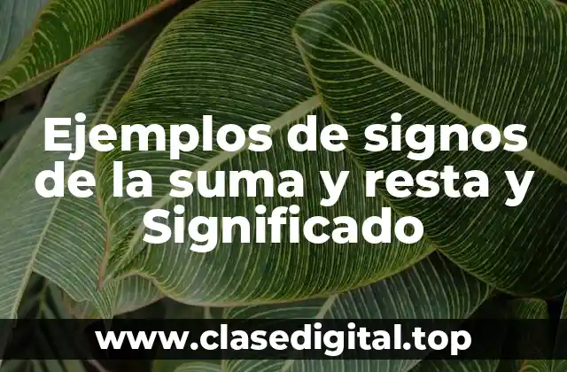 Ejemplos de signos de la suma y resta y Significado