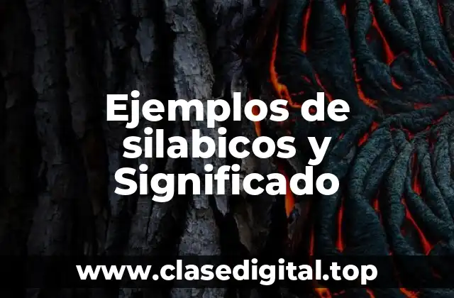 Ejemplos de silabicos