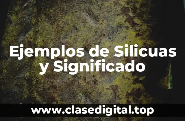 Ejemplos de Silicuas y Significado