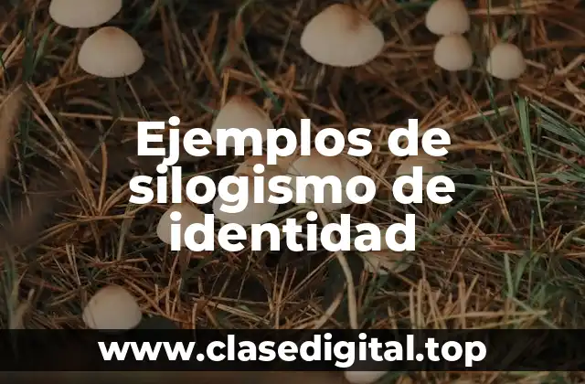 Ejemplos de silogismo de identidad